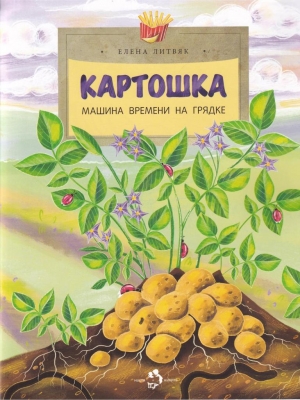 Картошка. Машина времени на грядке