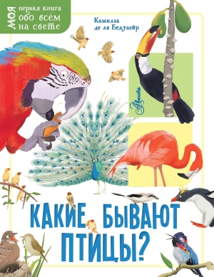 Какие бывают птицы